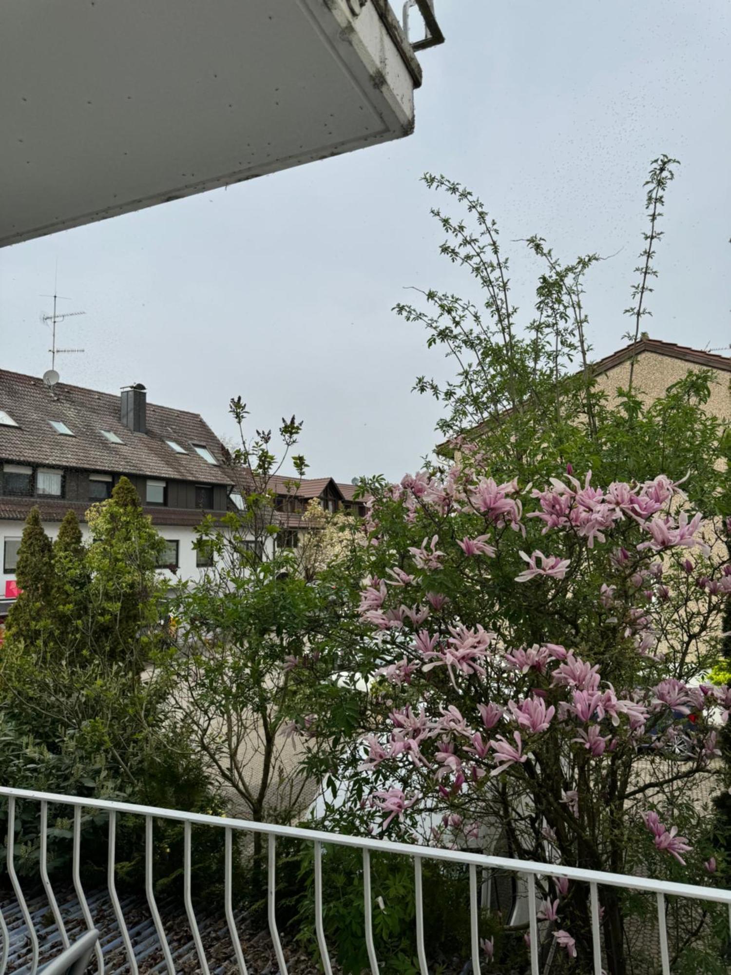 See-Hotel Seeschau - Direkt Am Bodenseeufer Reichenau Zewnętrze zdjęcie